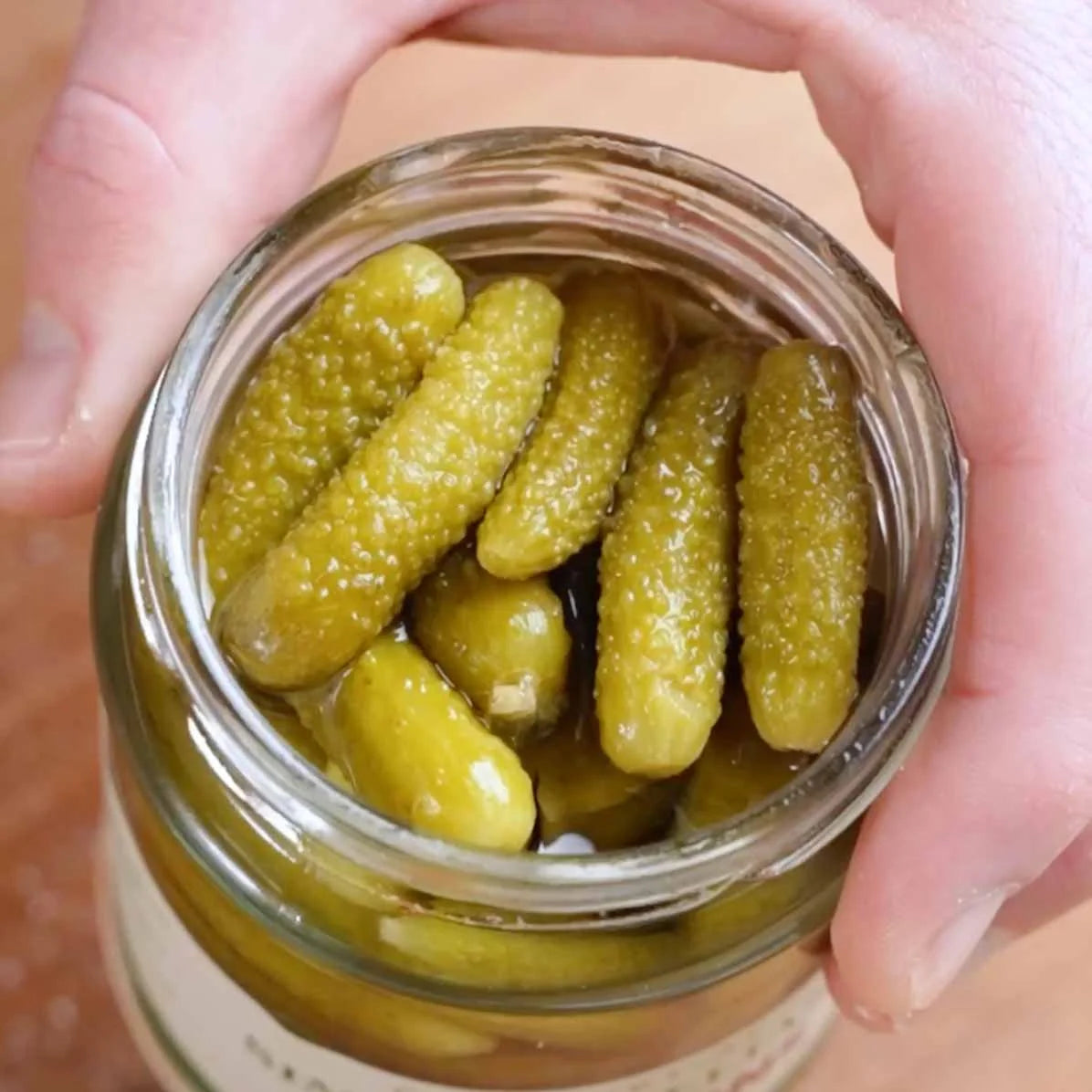 Pickled Cornichons